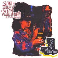 Mary Had A Little Lamb_Stevie Ray Vaughan