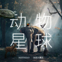 动物星球_螺丝刀RoseDoggy