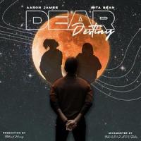 Dear Destiny(feat. Nita Bean)_Aaron James,Nita Bean