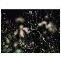 Ocean's Organ_Anneli Drecker,Arctic Philharmonic,Arvid Hanssen
