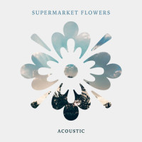 Supermarket Flowers_Amber Leigh Irish