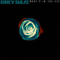 What's In The Eye_Grey Daze