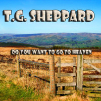 Trying to Beat the Morning Home_T.G. Sheppard