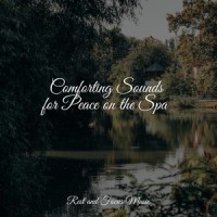 True Peace_Deep Sleep,Mindfulness Meditation World,Relaxamento
