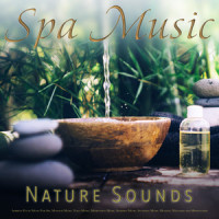Music For Relaxing in the Forest_Spa,Spa Music Playlist,Spa Channel