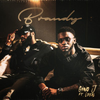 Brandy(feat. Odeal)_Gino J,Odeal