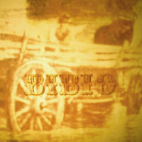 Firework Owl_Bibio
