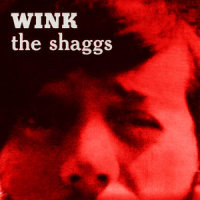 Hey Joe_The Shaggs