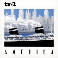 Granvoksen Mand_Tv-2