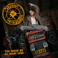 You Shook Me All Night Long_Steve 'n' Seagulls