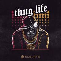 Cash_Elevate,Matt Foster
