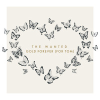 Gold Forever_The Wanted