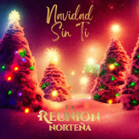 Navidad Sin Ti_La Reunión Norteña,Marco Antonio Solis