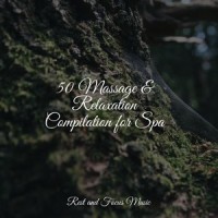 Echoes of Winter Snowfall_Pink Noise,Massage Therapy Music,Exam Study Classical Music