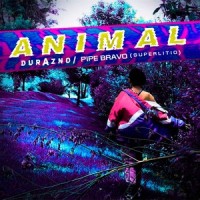 Animal_Durazno,Pipe Bravo,Superlitio