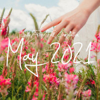 The Way It Would Be_Various Artists,Field Guide