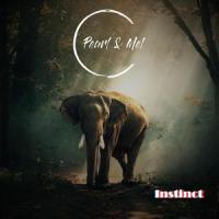 Tu ne m'entends pas_Pearl,Mel