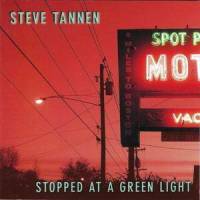 Picture of You_Steve Tannen