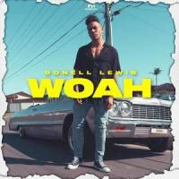 Woah_Donell Lewis,Donnelley Jade Thomas Lewis,David Anthony Sampson