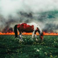 HOLY SMOKE!_Indie Tribe,Nobigdyl.,Jon Keith