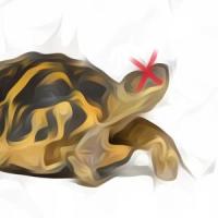 Turtle Roadkill(feat. Daniel Shaye)_Alecs Dyno,Daniel Shaye