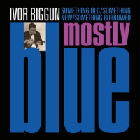 You Can't Have a Snog with a Snowman_Ivor Biggun,The Vulgar Band