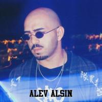 ALEV ALSIN_Poison