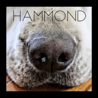 Hammond_Grace Newman