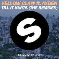 Till It Hurts(feat. Ayden)_Yellow Claw,Ayden