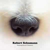 Dreaming Reverie (Träumerei)_Robert Schumann