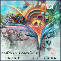 Phyzicism_Birds of Paradise