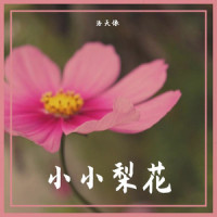 小小梨花_洛天依