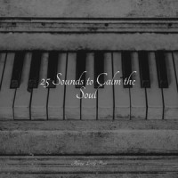 Amazing Splendor_Study Music and Piano Music,Piano Pianissimo,Soulful Piano Group