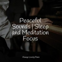 Always Rested_Ambient Piano,Baby Sleep Through the Night,Piano Pianissimo
