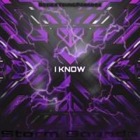 I KNOW (feat. Boxie & Young Paradox)_Storm Sounds,Boxie,Young Paradox