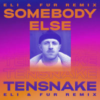 Somebody Else_Tensnake,Boy Matthews