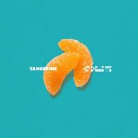 Tangerine_Hot Chelle Rae,Jerrod Bettis,Nash Overstreet,Ryan Follese,Jamie Follese,Suzy Shinn