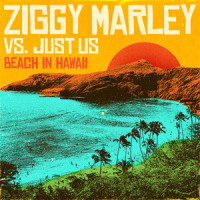 Beach In Hawaii_Ziggy Marley,Just us
