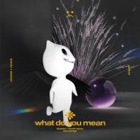 what do you mean - slowed + reverb_Slo,Twilight,Tazzy