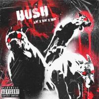 HUSH(feat. MKJ)_AKIVA,AceOfBK,MKJ