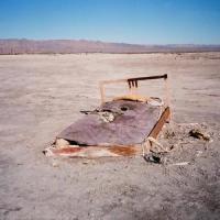 Scar Tissue(feat. Daphne Tunes, Oh Yes & Alessi's Ark)_Holiday Music,Daphne Tunes,Oh Yes,Alessi's Ark