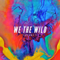 You Lost My Mind_We The Wild