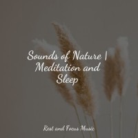 Reassuring Fulfillment_Trouble Sleeping Music Universe,Deep Sleep,Ambient Forest