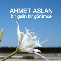 Bir Gelin Bir Görümce_Ahmet Aslan