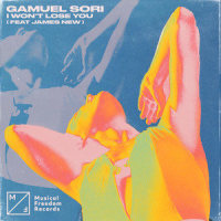 I Won't Lose You(feat. James New)_Gamuel Sori,James New