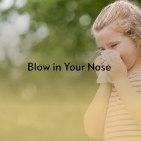 Blow in Your Nose_Van Morrison