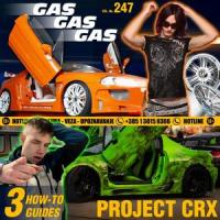 Gas (feat. Brane Slimara)_Ružno Pače,brane slimara