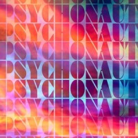 Psychonaut_Mr. Gnome
