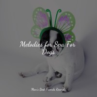 Calming New Age_Sleepy Dogs,Music for Calming Dogs,Relaxation Music For Dogs