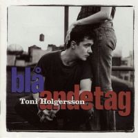 Vad ingen annan kunde se_Toni Holgersson
